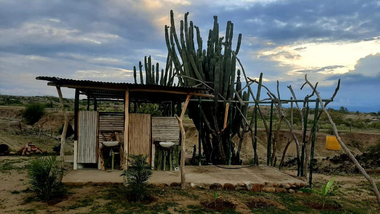 Pachingo la primavera Villavieja Esterno foto