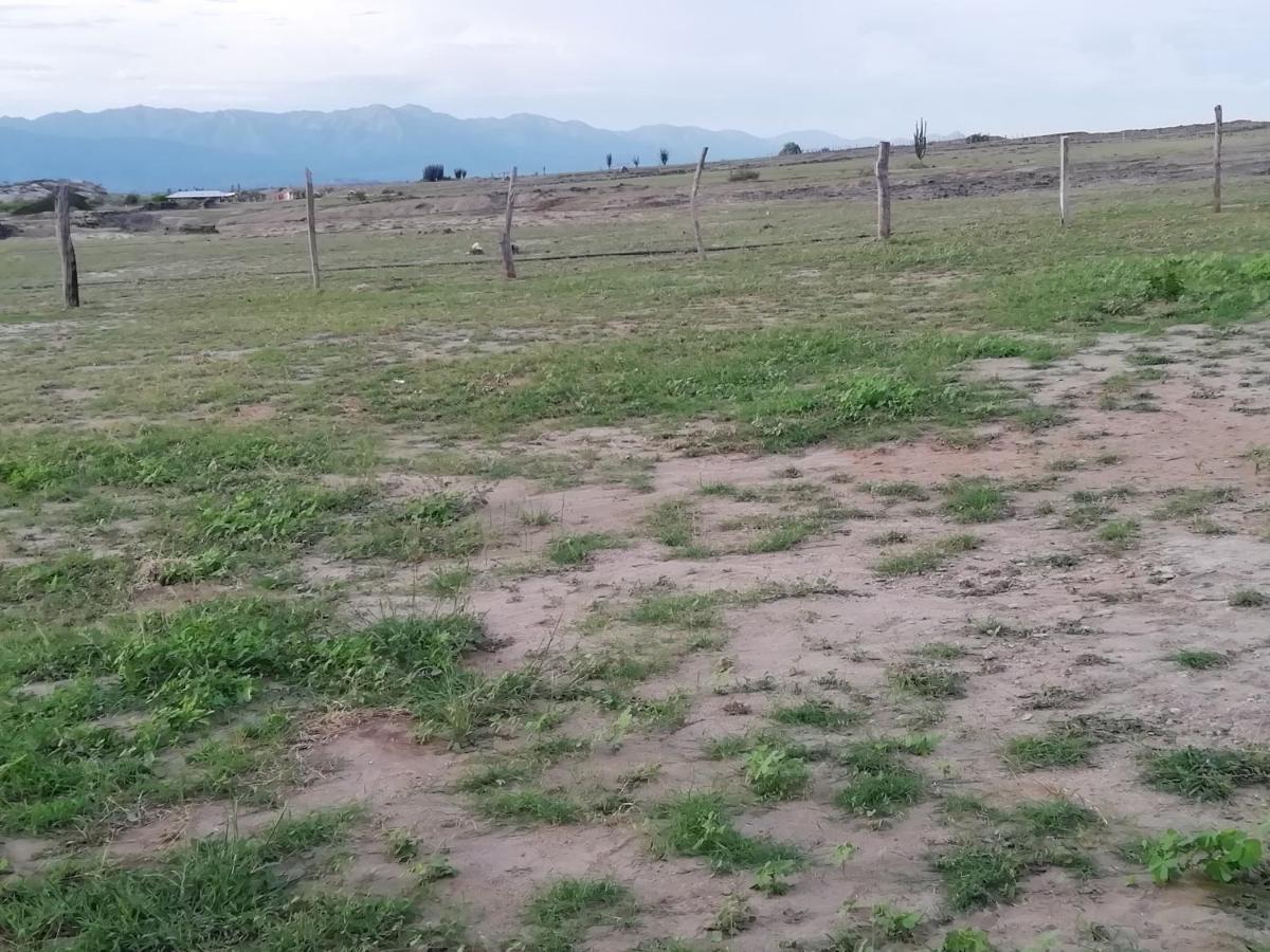 Pachingo la primavera Villavieja Esterno foto