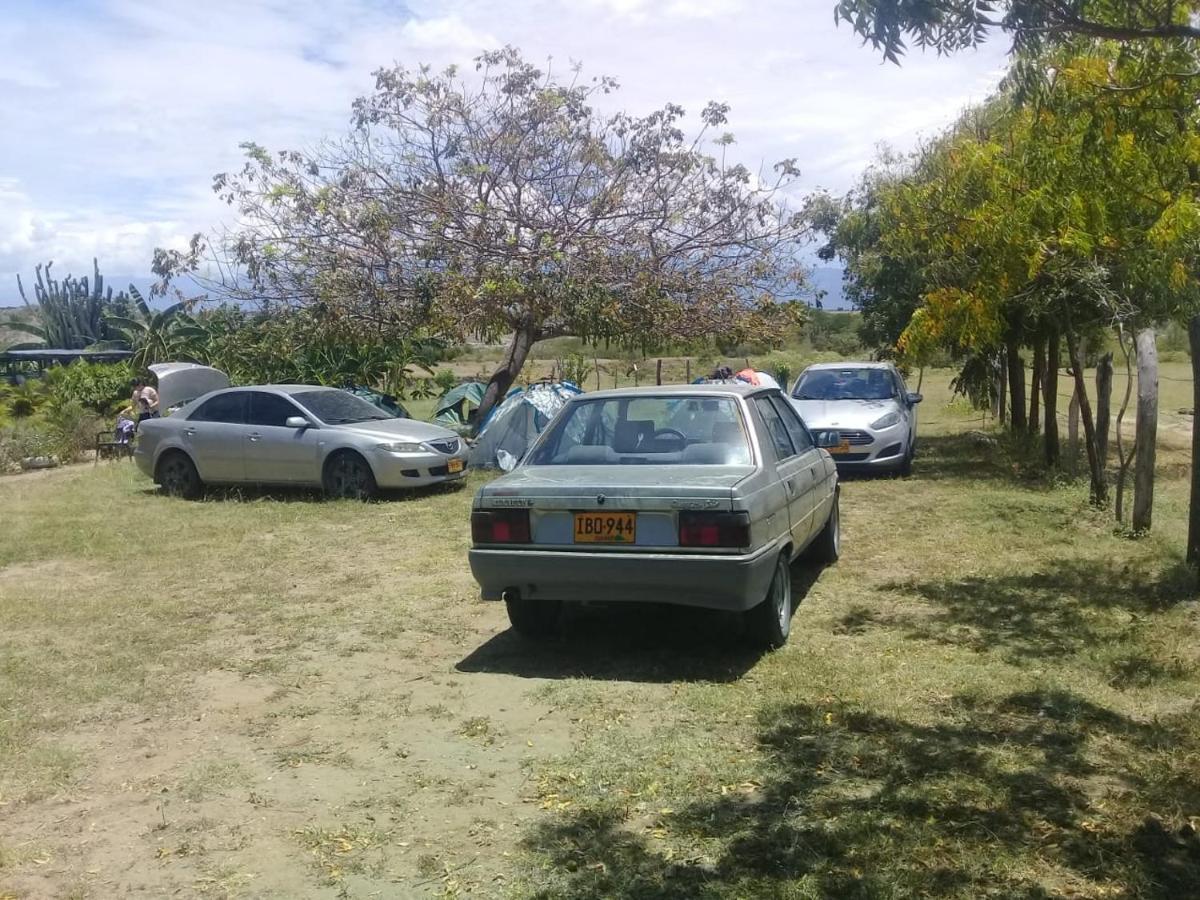 Pachingo la primavera Villavieja Esterno foto
