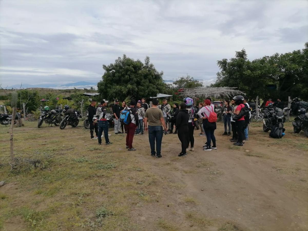 Pachingo la primavera Villavieja Esterno foto