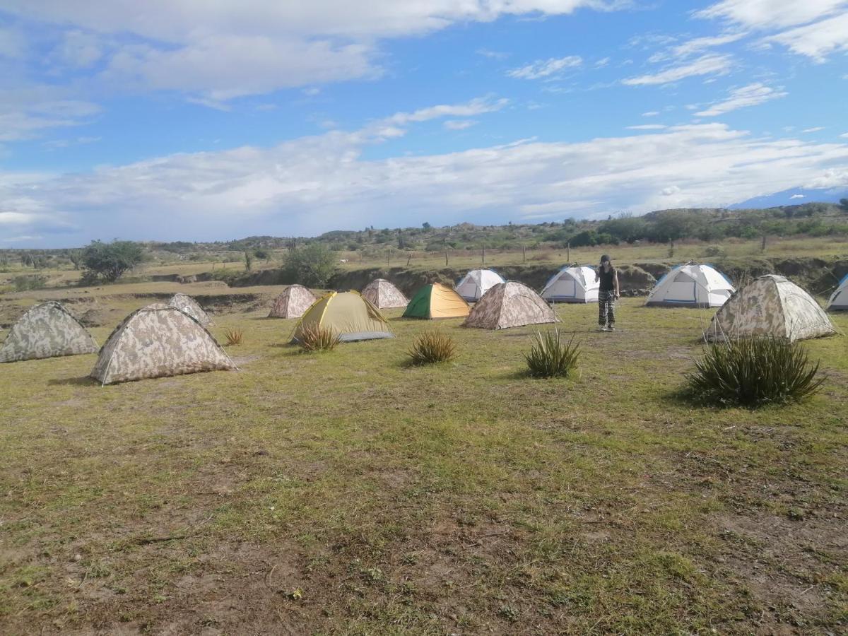 Pachingo la primavera Villavieja Esterno foto