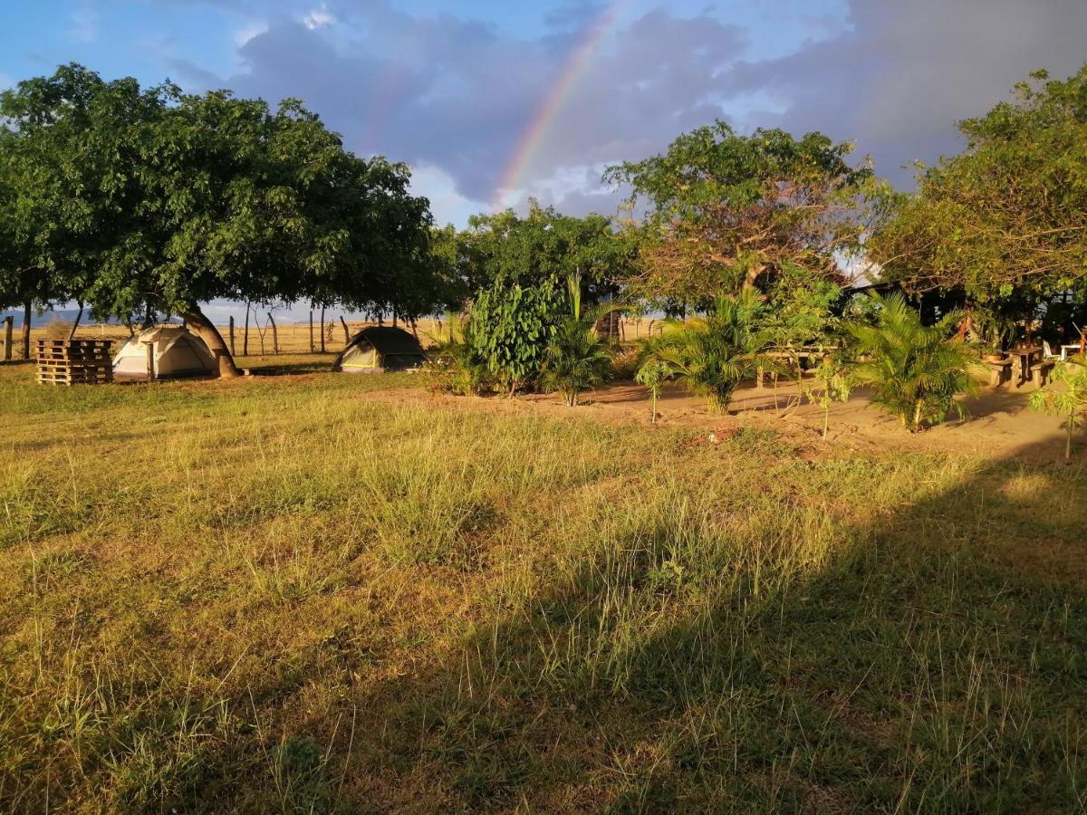 Pachingo la primavera Villavieja Esterno foto