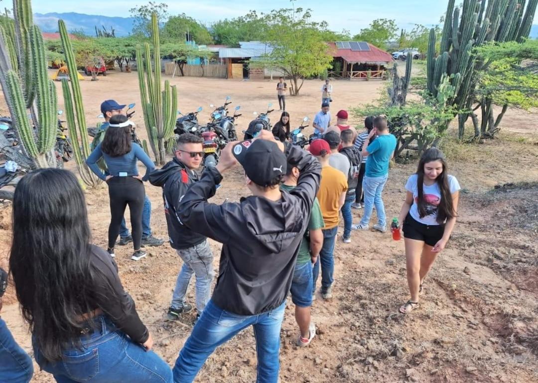 Pachingo la primavera Villavieja Esterno foto